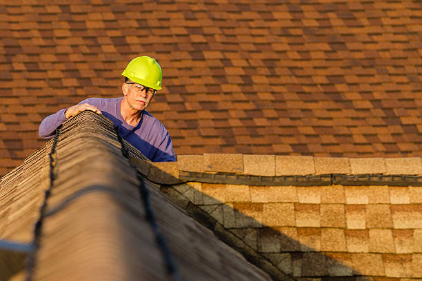 Best Roof Gutter Cleaning  in Lancaster, KY